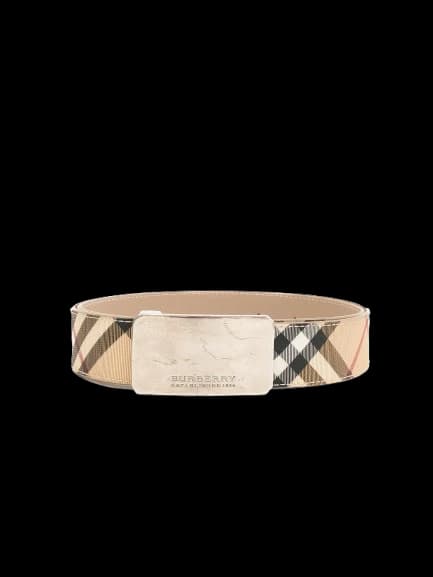 Burberry Belt — photo 1