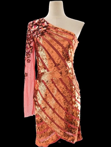 Elisabetta Franchi Pink Nylon Evening — 2
