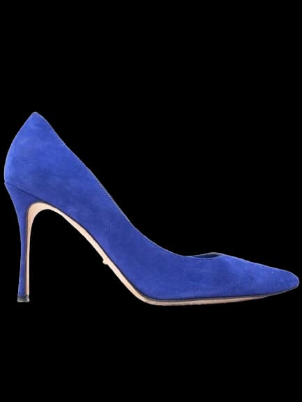 Sergio Rossi Blue Genuine suede Pumps — photo 1